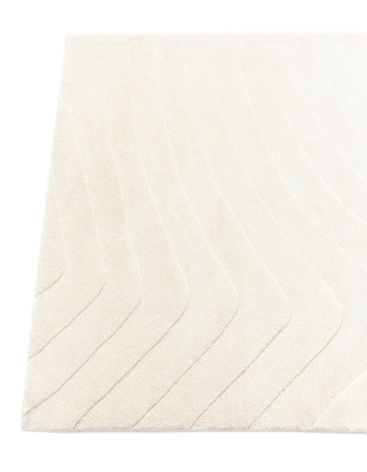 Detail image of  2' 9 x 12' 9 Darya Runner Rug