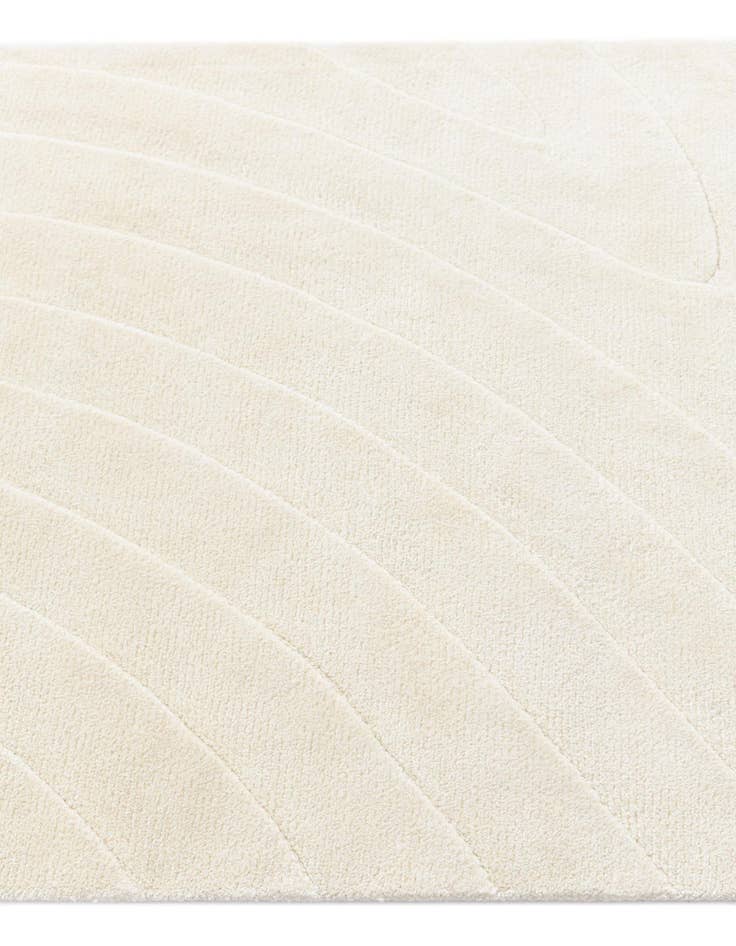 Detail image of  2' 9 x 12' 9 Darya Runner Rug