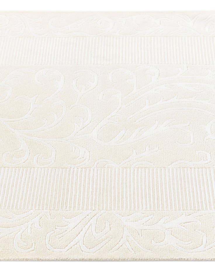 Detail image of  3' 4 x 12' 7 Darya Runner Rug