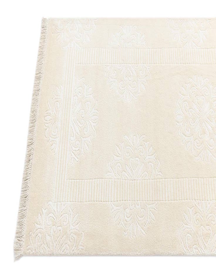 Detail image of  2' 11 x 13' 1 Darya Runner Rug