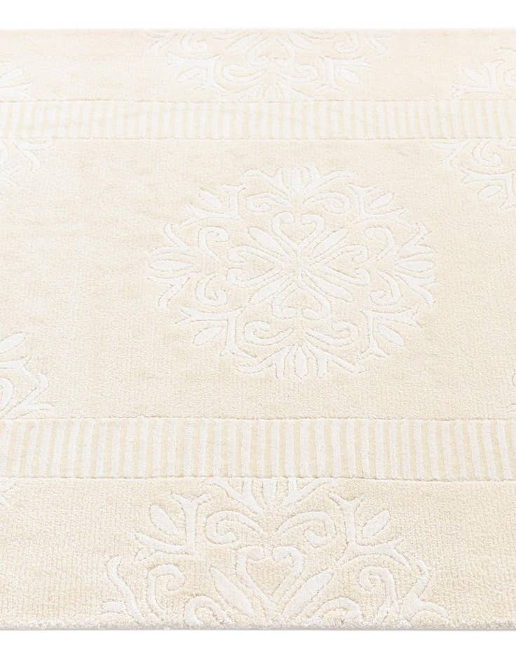 Detail image of  2' 11 x 13' 1 Darya Runner Rug