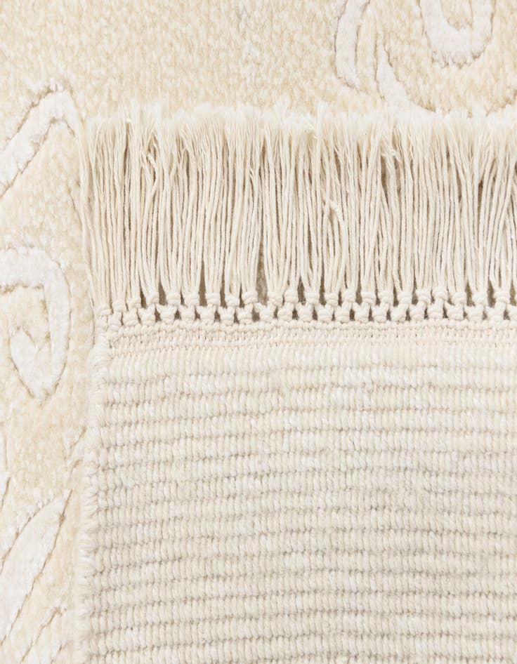 Detail image of  2' 11 x 13' 1 Darya Runner Rug