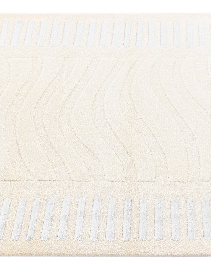 Detail image of  2' 9 x 13' 2 Darya Runner Rug
