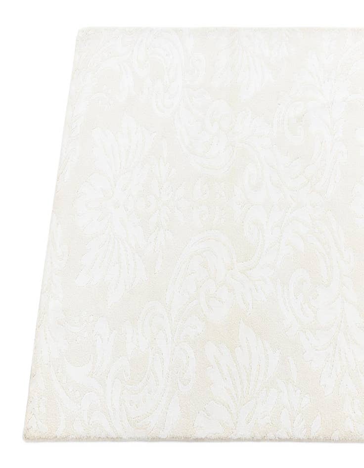 Detail image of  2' 10 x 13' 4 Darya Runner Rug