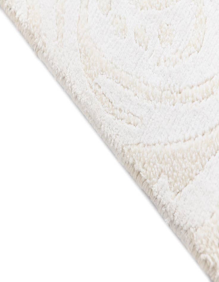 Detail image of  2' 10 x 13' 4 Darya Runner Rug