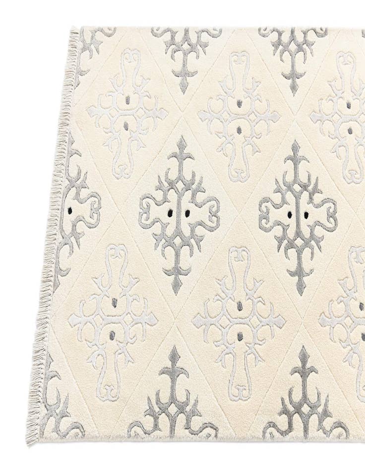 Detail image of  2' 7 x 12' 11 Darya Runner Rug