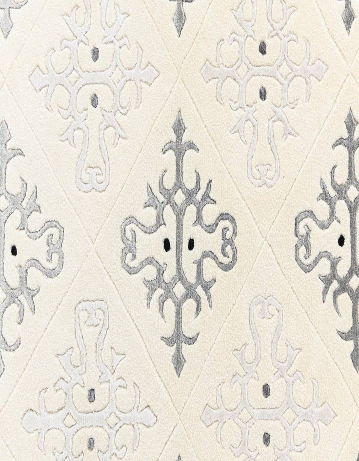 Detail image of  2' 7 x 12' 11 Darya Runner Rug