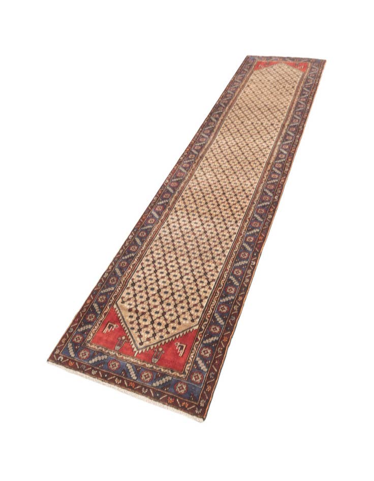 Detail image of  3' 3 x 13' Hamedan Runner Rug