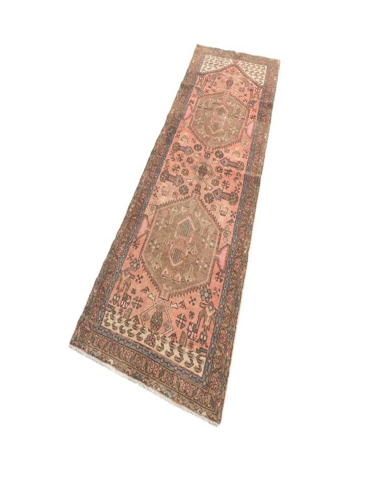 Detail image of  3' 3 x 9' 6 Hamedan Runner Rug