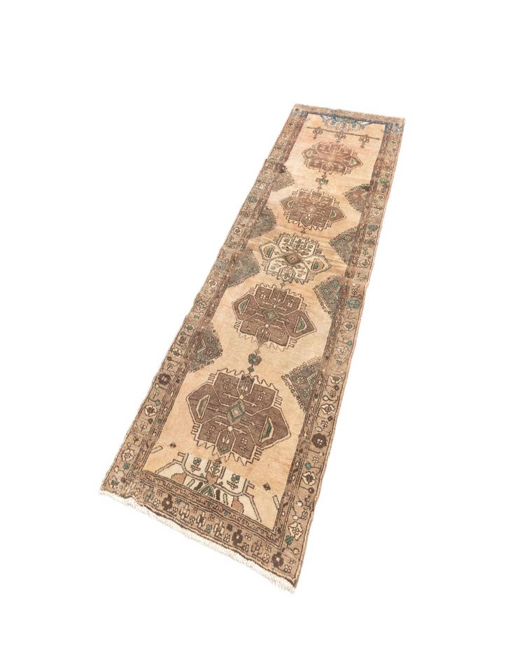 Detail image of  3' 1 x 8' 9 Hamedan Runner Rug