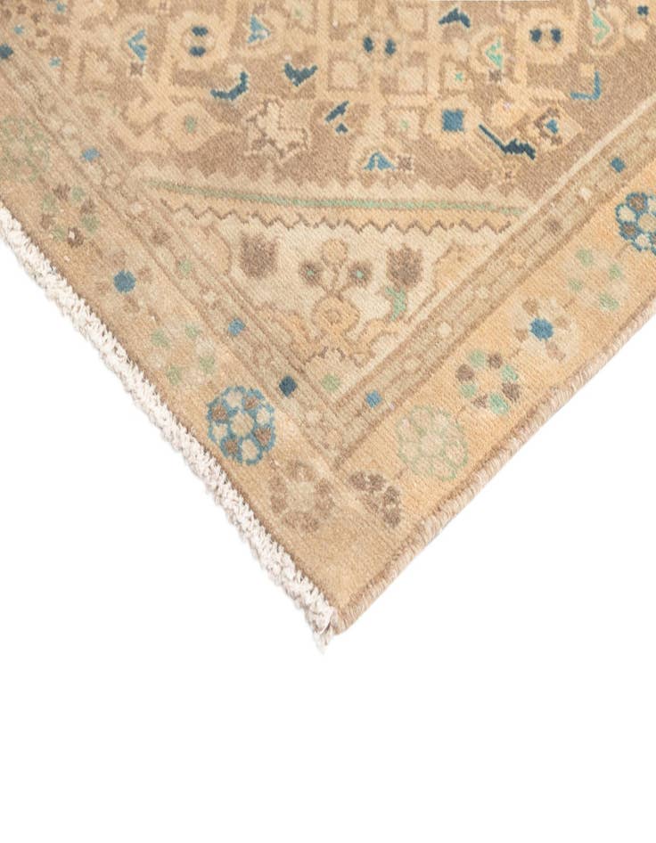 Detail image of  3' 1 x 9' 9 Hamedan Runner Rug