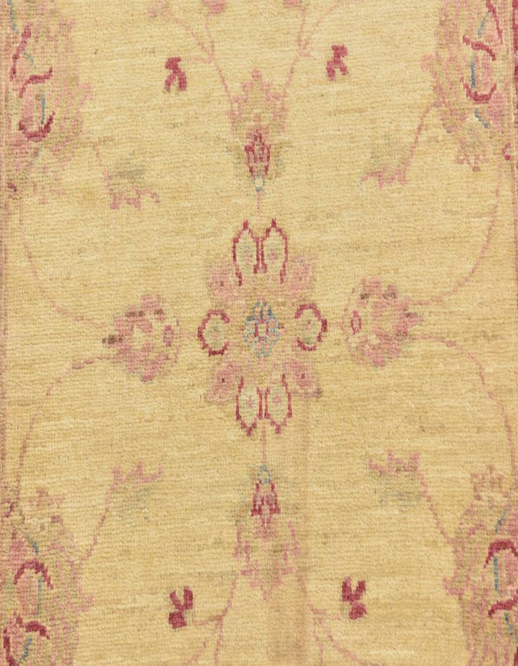 Detail image of  2' 10 x 9' 8  Hand Knotted Peshawar Ziegler Runner Rug
