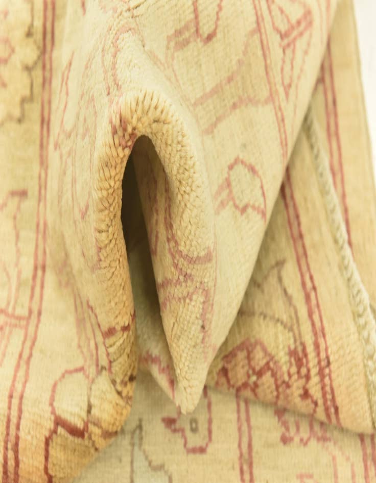 Detail image of  2' 9 x 8' 8  Hand Knotted Peshawar Ziegler Runner Rug