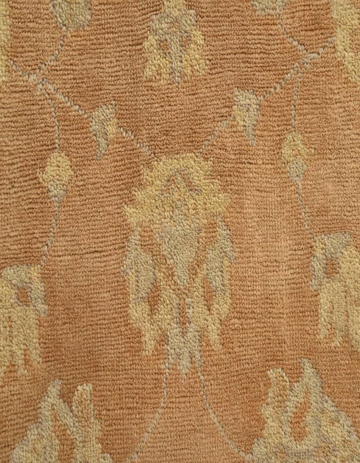 Detail image of  2' 8 x 10'  Hand Knotted Peshawar Ziegler Runner Rug