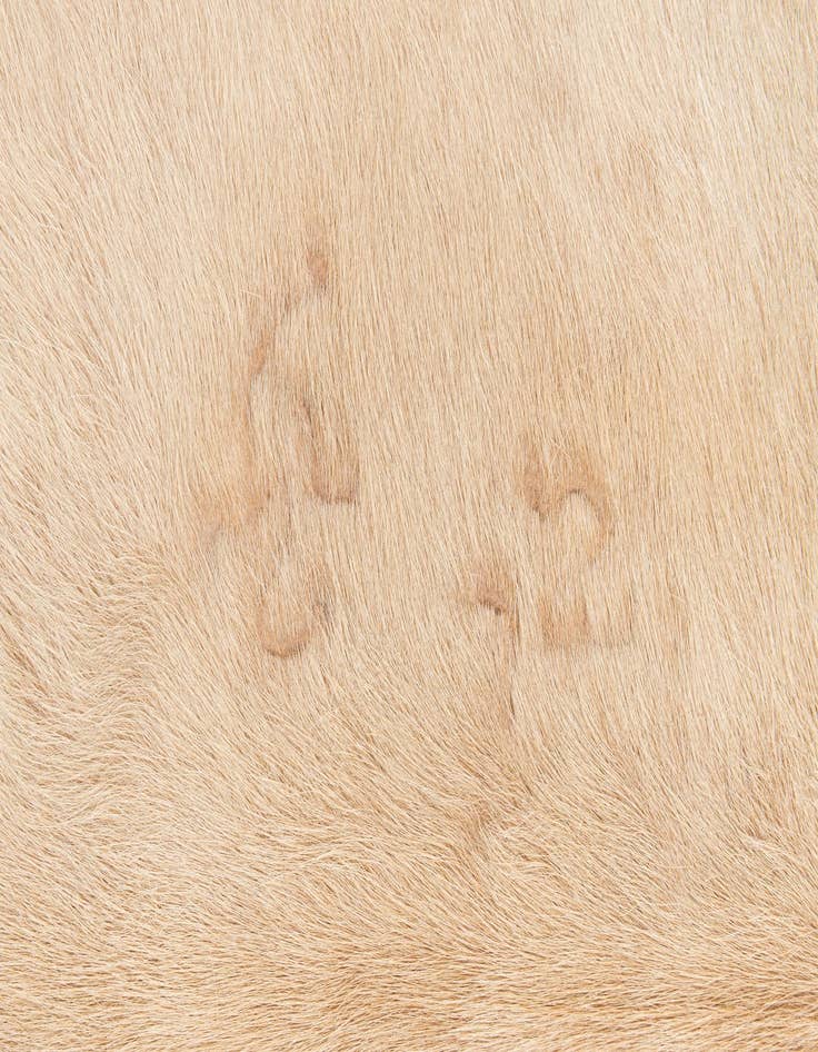 Detail image of  6' 2 x 6' 8 Cowhide Leather Square Rug