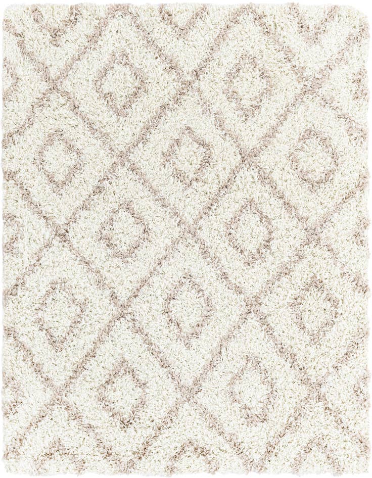 Detail image of  4' x 4' Lattice Shag Square Rug