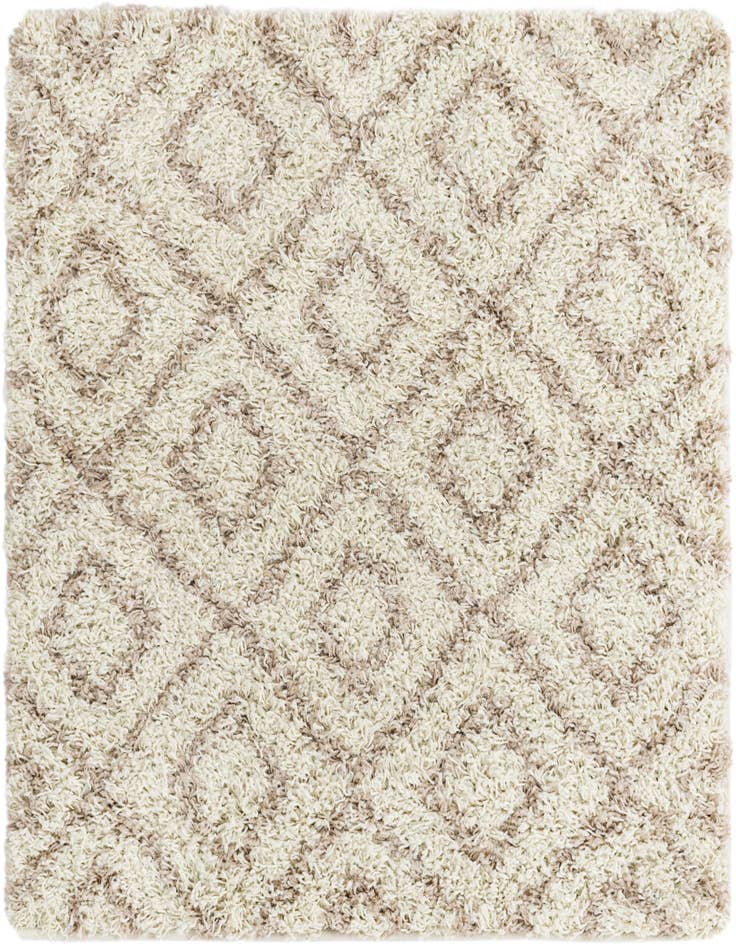 Detail image of  3' 3 x 3' 3 Lattice Shag Square Rug