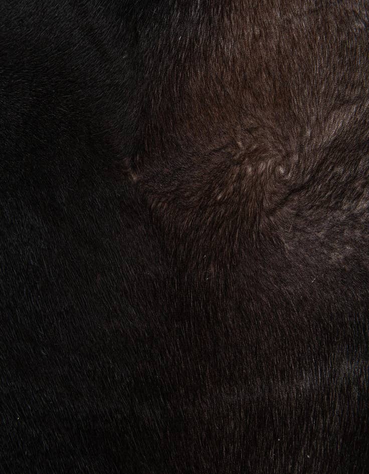 Detail image of  5' 11 x 6' 10 Cowhide Leather Rug