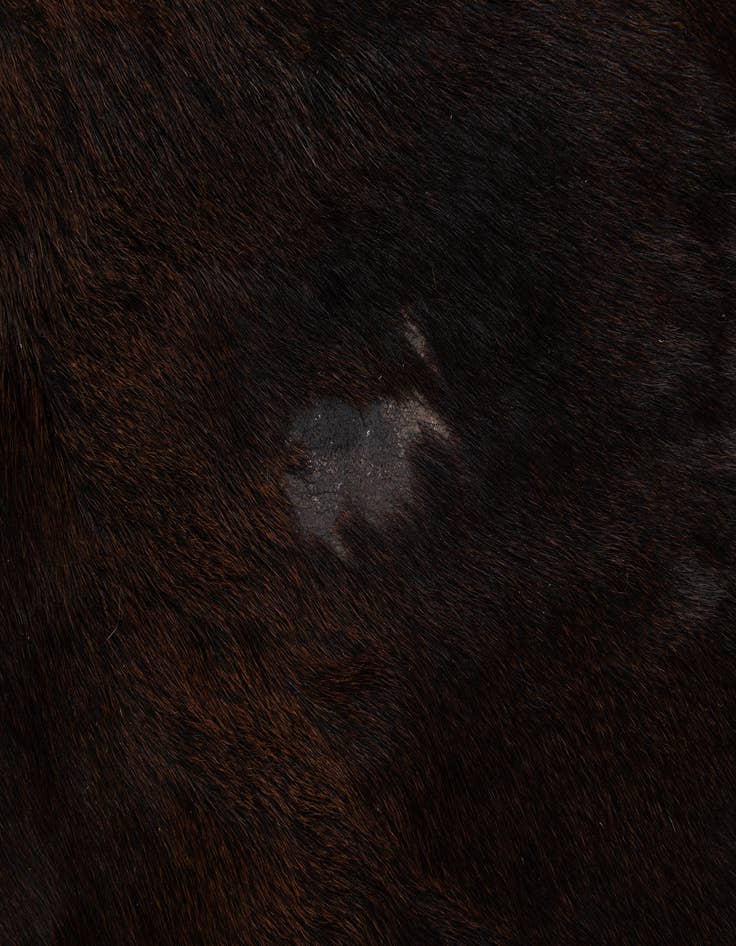 Detail image of  4' 5 x 4' 9 Cowhide Leather Square Rug