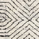 Rug Black and White Swatch link