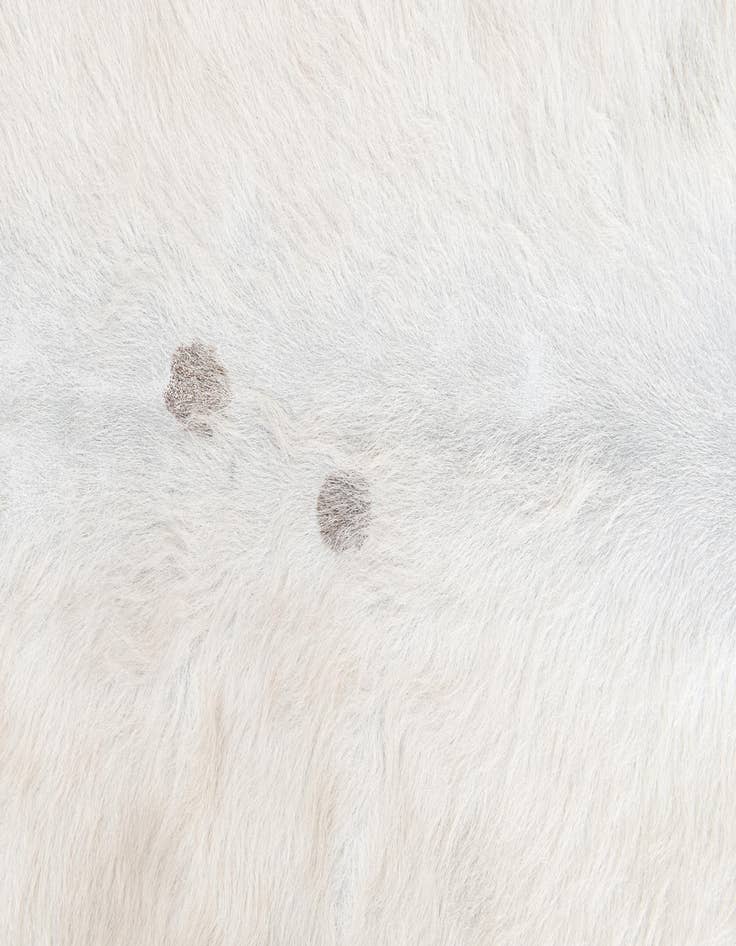 Detail image of  4' 4 x 4' 11 Cowhide Leather Rug
