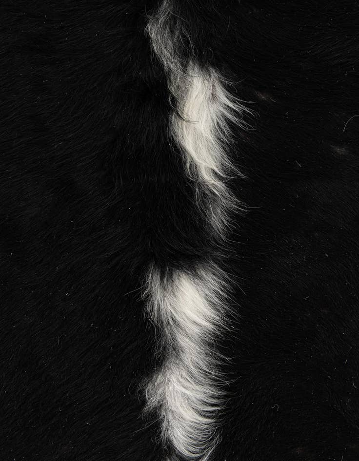Detail image of  6' 2 x 6' 8 Cowhide Leather Rug