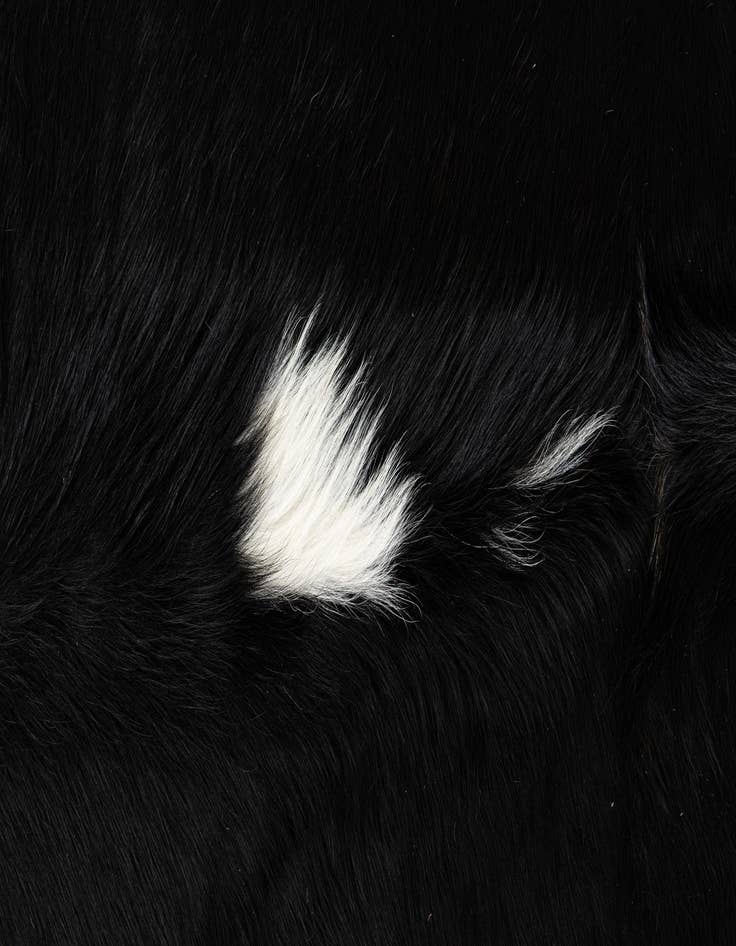 Detail image of  6' 2 x 7' 7 Cowhide Leather Rug