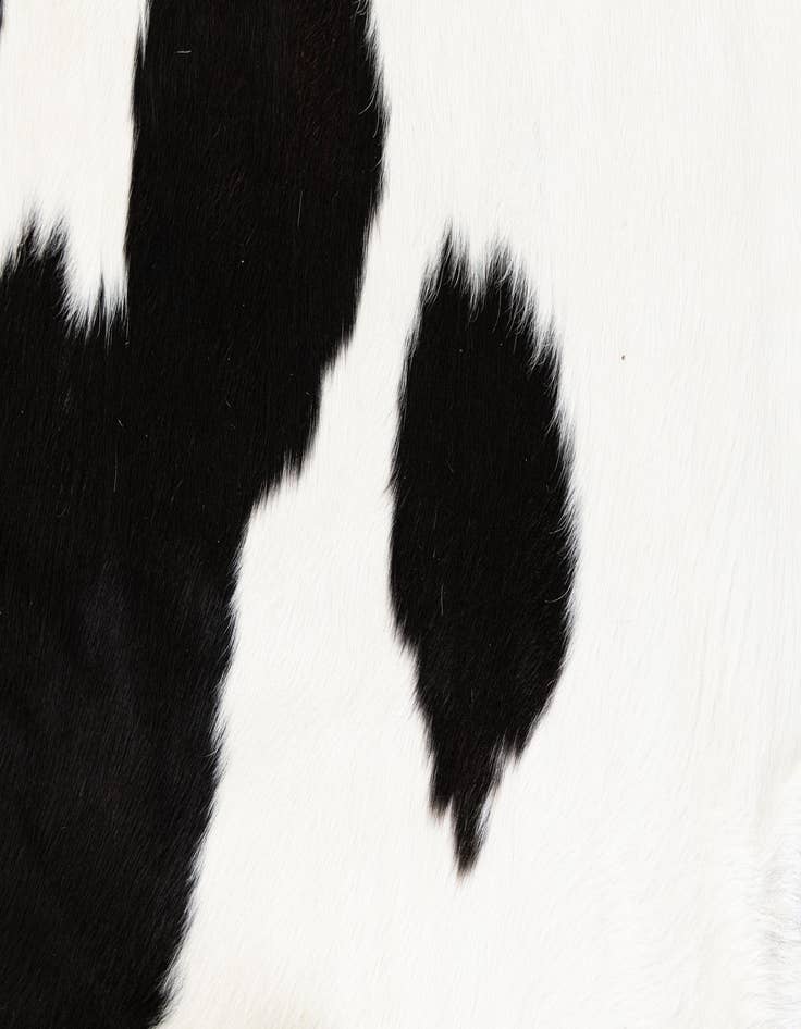 Detail image of  6' 3 x 6' 10 Cowhide Leather Rug