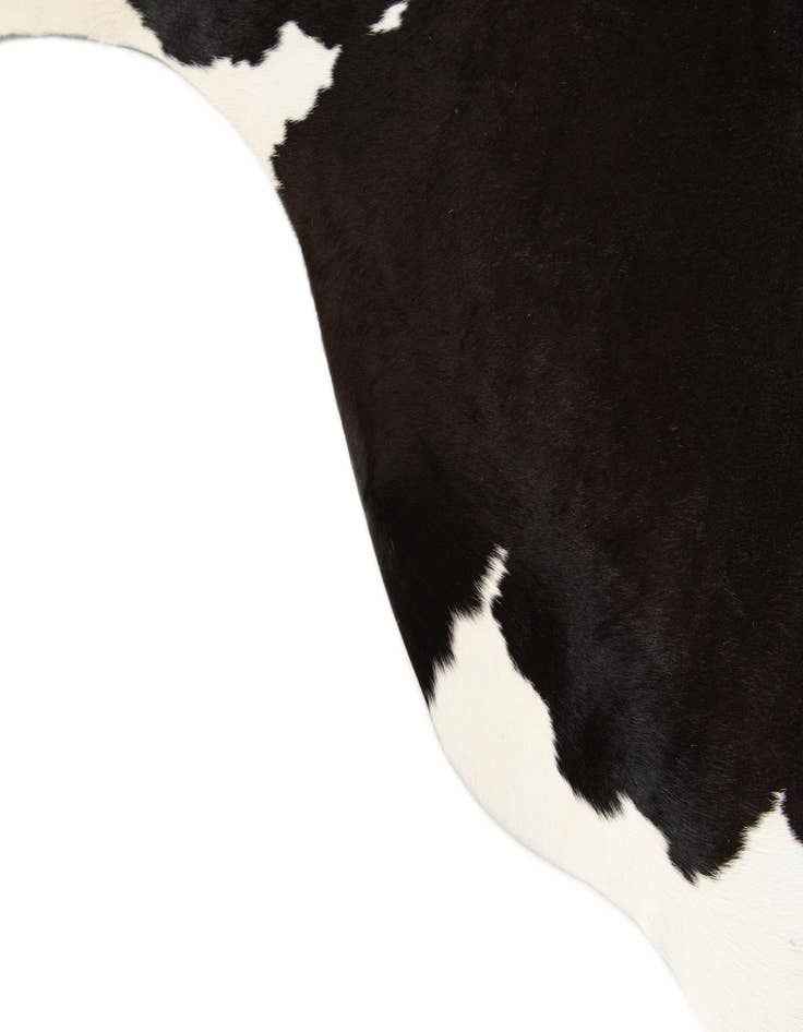 Detail image of  5' 2 x 6' 8 Cowhide Leather Rug