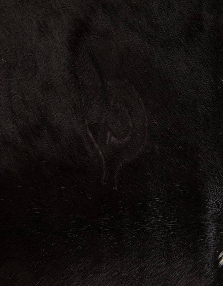 Detail image of  5' 2 x 6' 8 Cowhide Leather Rug