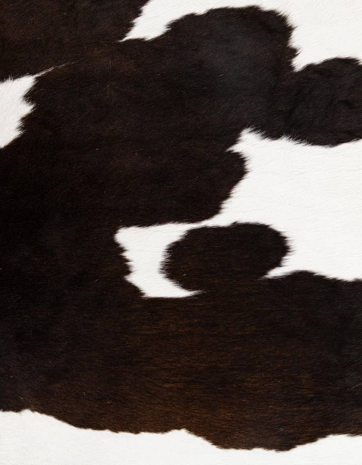 Detail image of  4' 8 x 5' 7 Cowhide Leather Rug