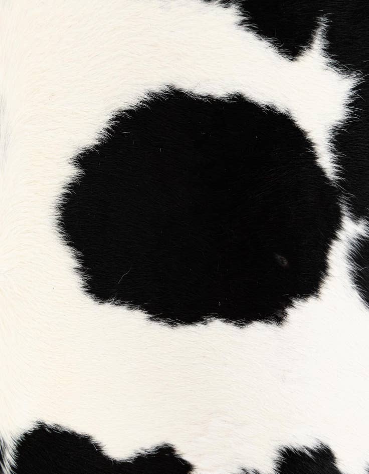 Detail image of  4' 8 x 6' 3 Cowhide Leather Rug