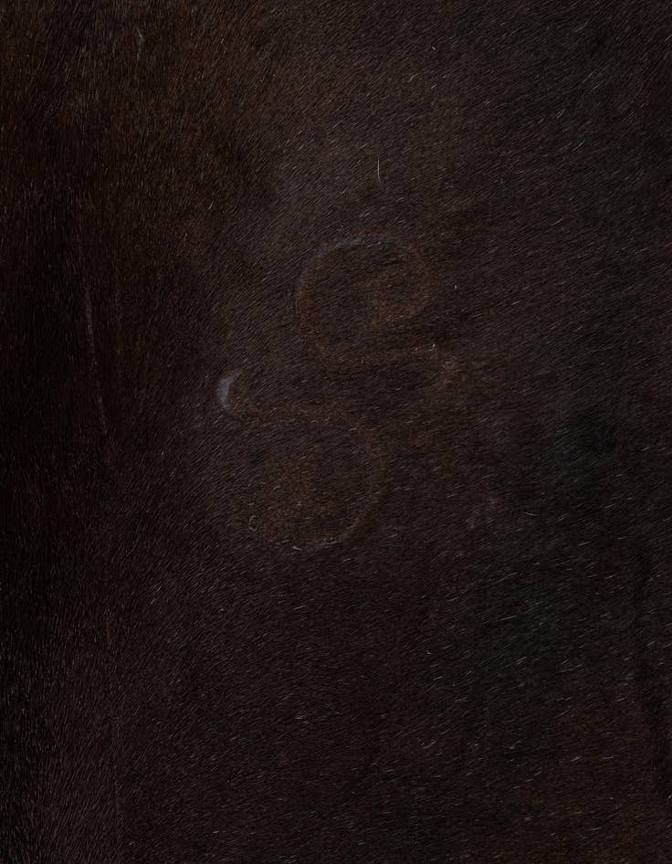 Detail image of  4' 4 x 5' 6 Cowhide Leather Rug