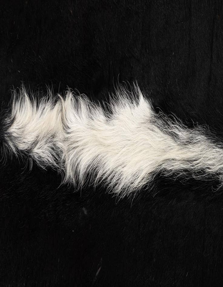 Detail image of  4' 8 x 5' 7 Cowhide Leather Rug