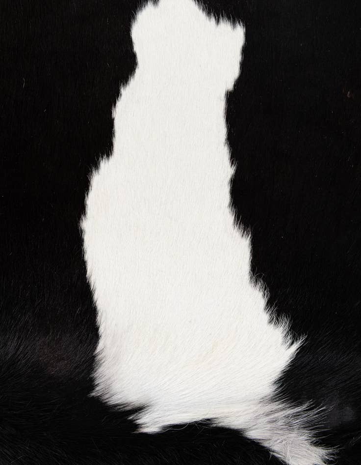 Detail image of  5' 3 x 6' 9 Cowhide Leather Rug