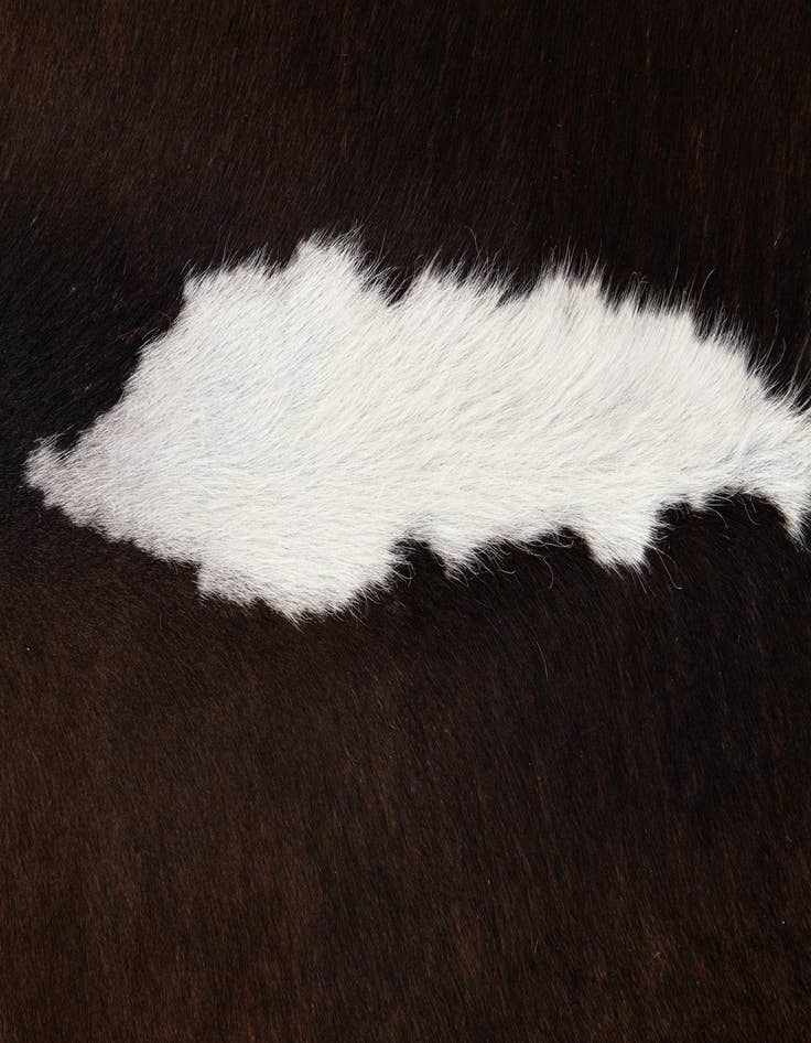 Detail image of  5' 1 x 6' 3 Cowhide Leather Rug