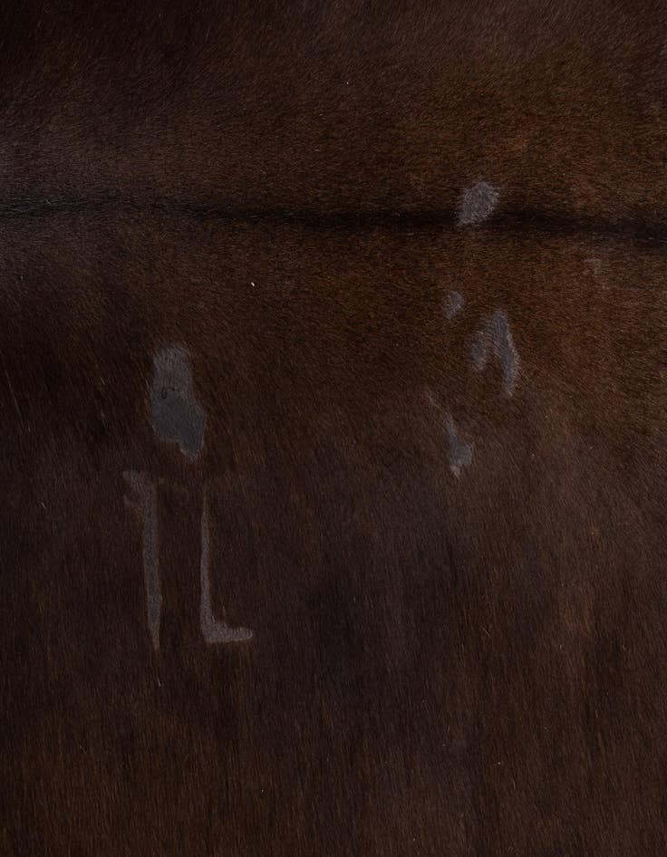 Detail image of  5' 1 x 6' 3 Cowhide Leather Rug