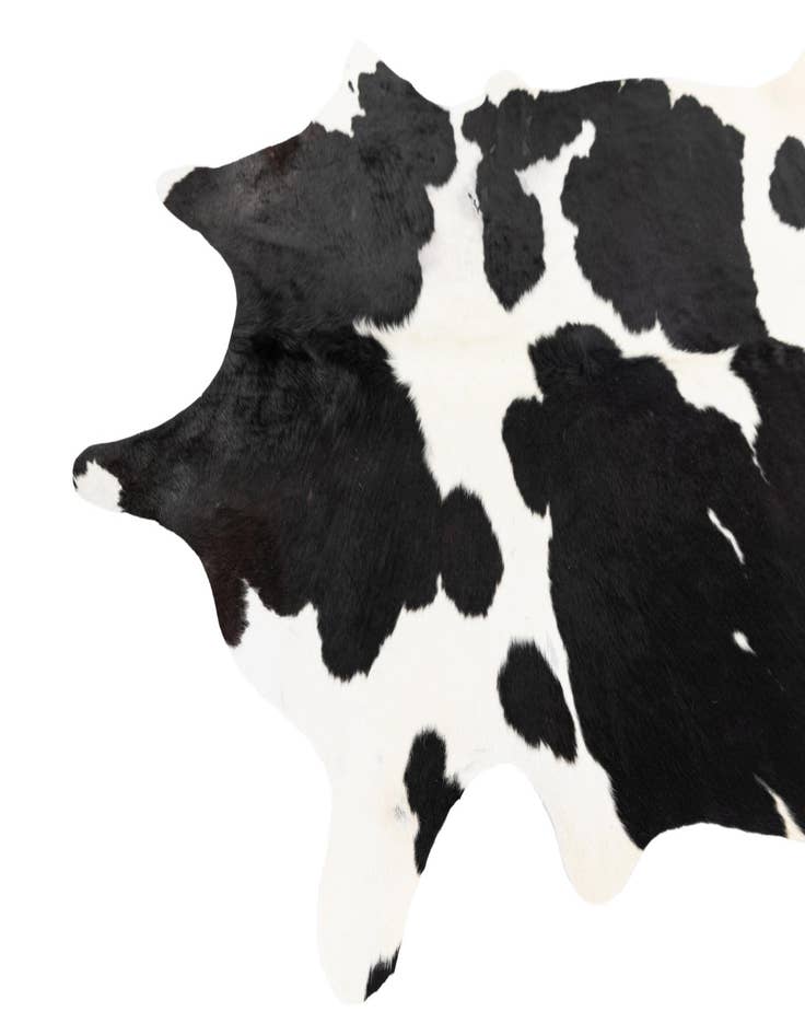 Detail image of  5' 2 x 6' 6 Cowhide Leather Rug