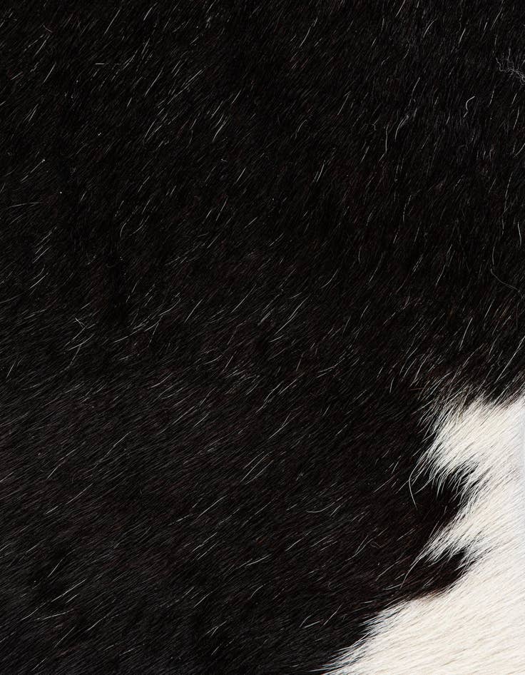 Detail image of  1' 8 x 2' 7 Cowhide Leather Rug