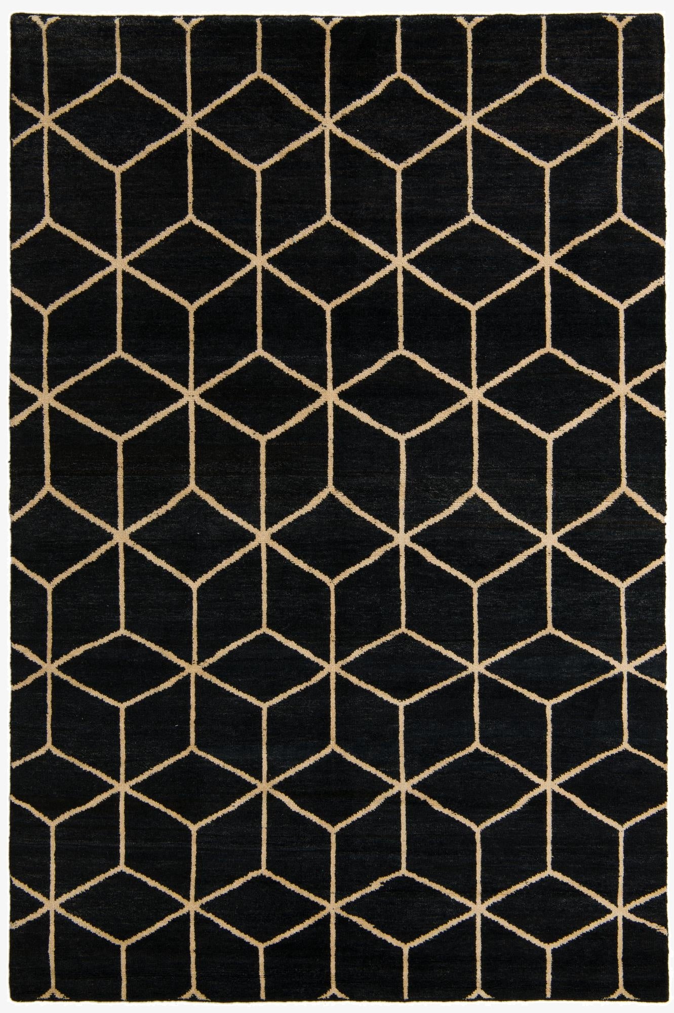  6' 7 x 9' 9  Hand Knotted Darya Wool Rug