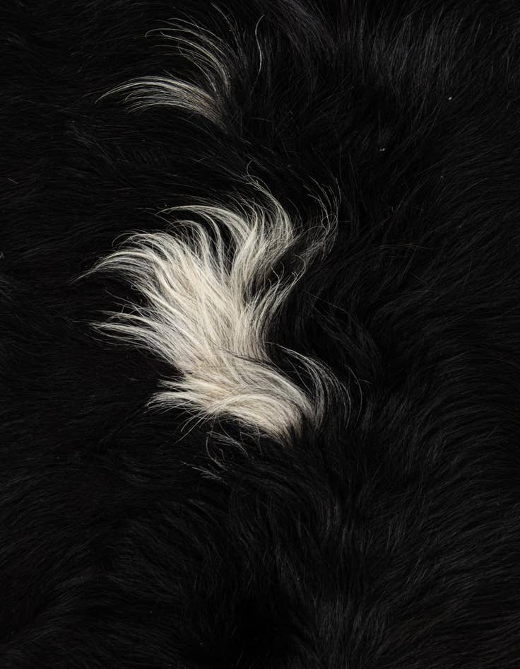 Detail image of  6' 10 x 7' Cowhide Leather Square Rug