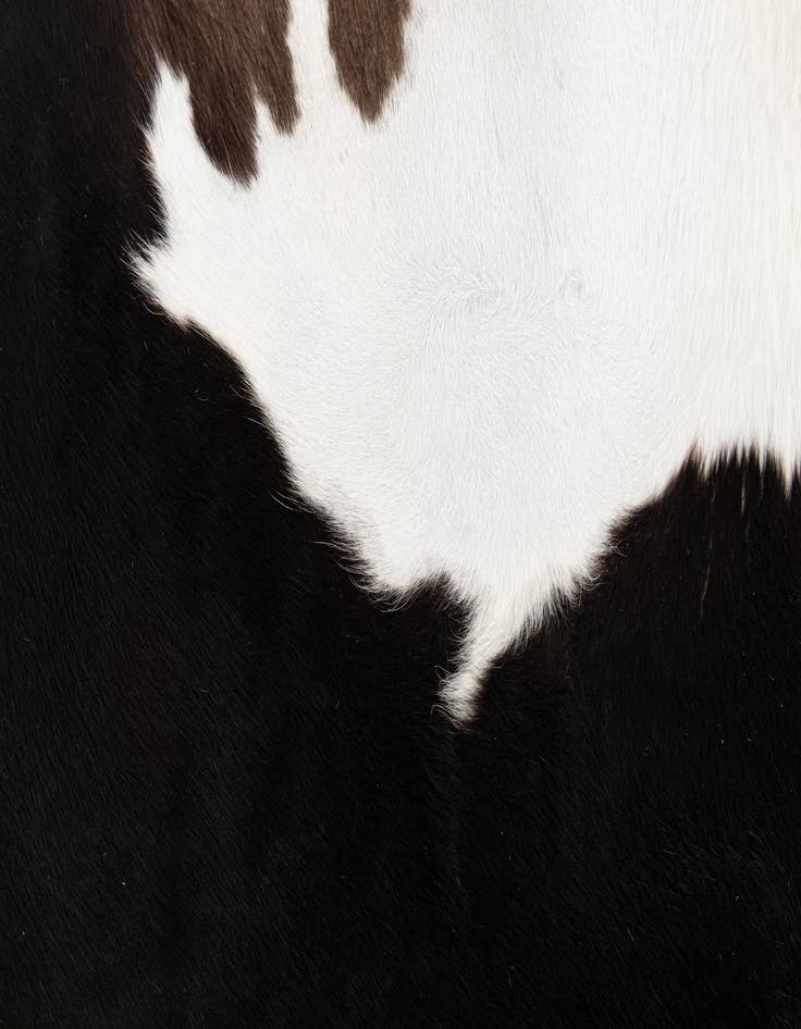 Detail image of  6' 5 x 6' 8 Cowhide Leather Square Rug