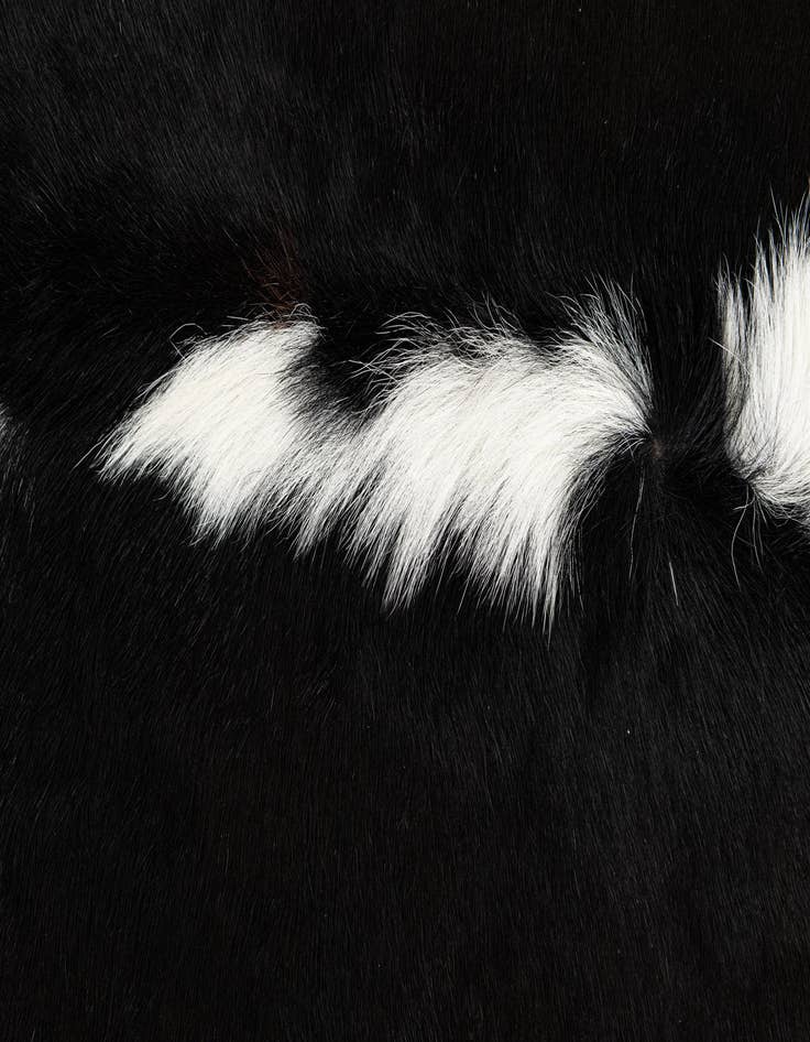 Detail image of  5' 11 x 6' 4 Cowhide Leather Square Rug