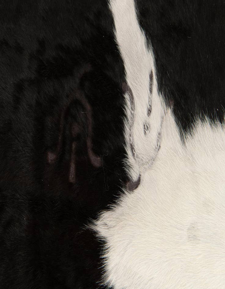 Detail image of  6' 1 x 6' 8 Cowhide Leather Square Rug