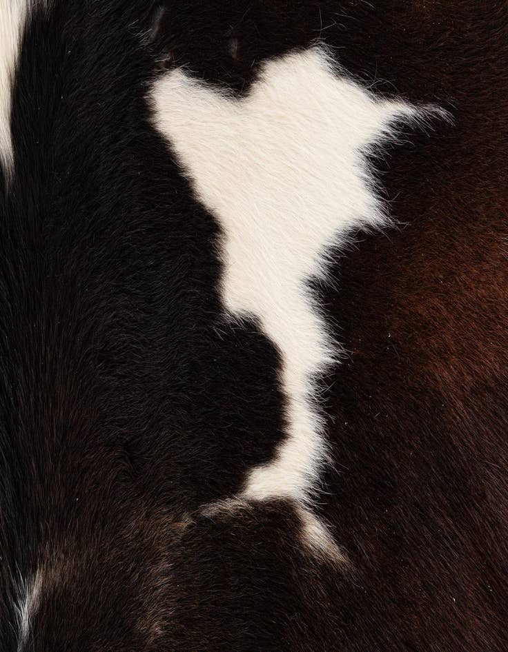 Detail image of  5' x 5' 2 Cowhide Leather Square Rug