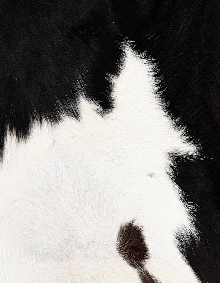 Detail image of  6' 7 x 6' 9 Cowhide Leather Square Rug