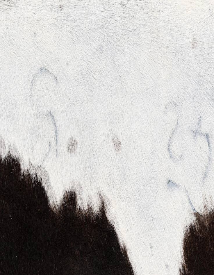 Detail image of  5' 7 x 5' 10 Cowhide Leather Square Rug