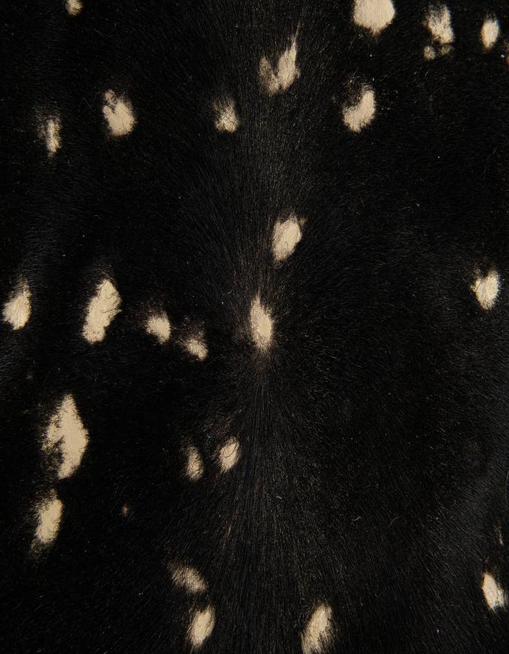 Detail image of  6' 9 x 6' 10 Cowhide Leather Freeform Rug