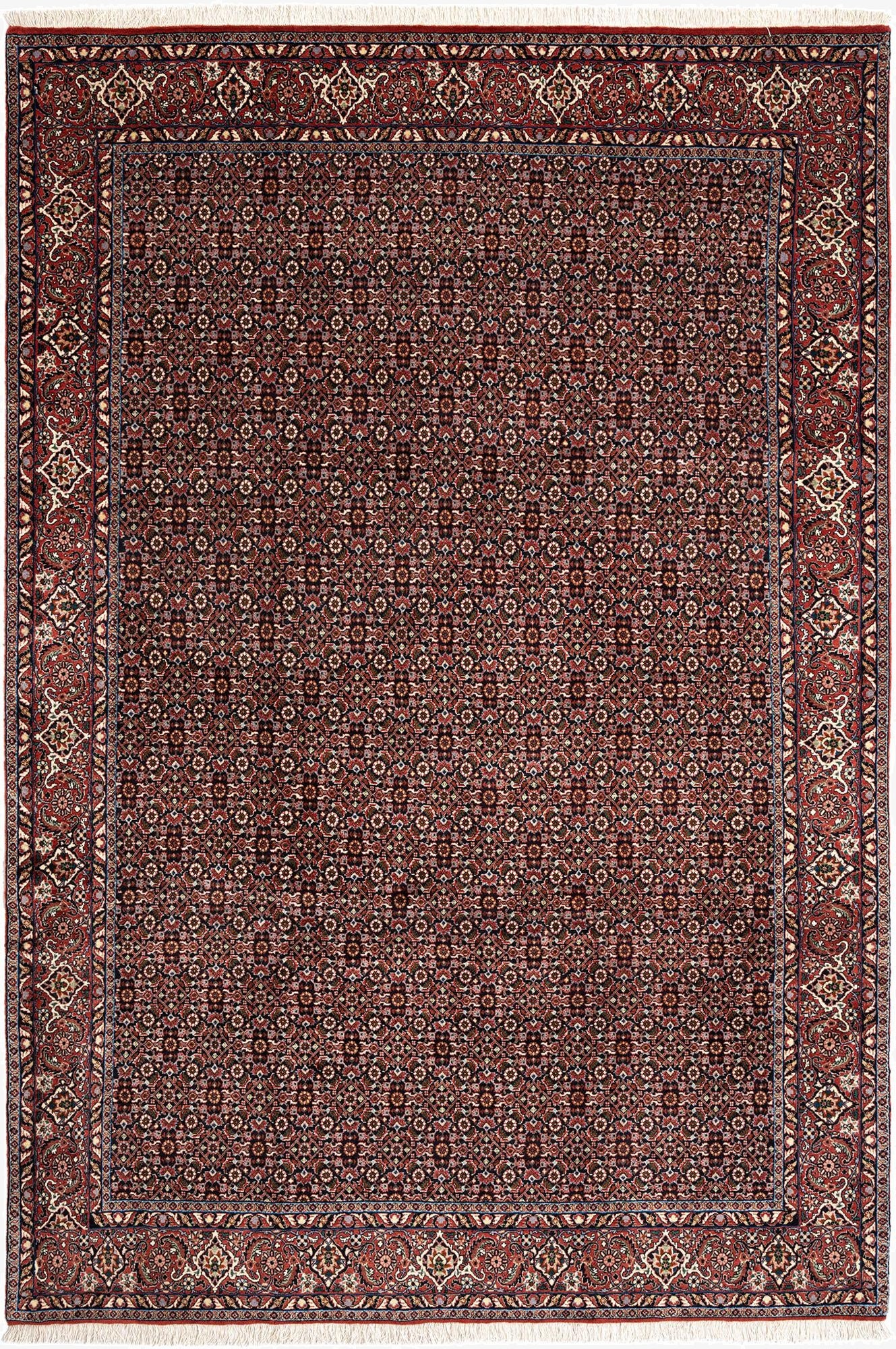  6' 8 x 9' 9 Bidjar Wool Rug