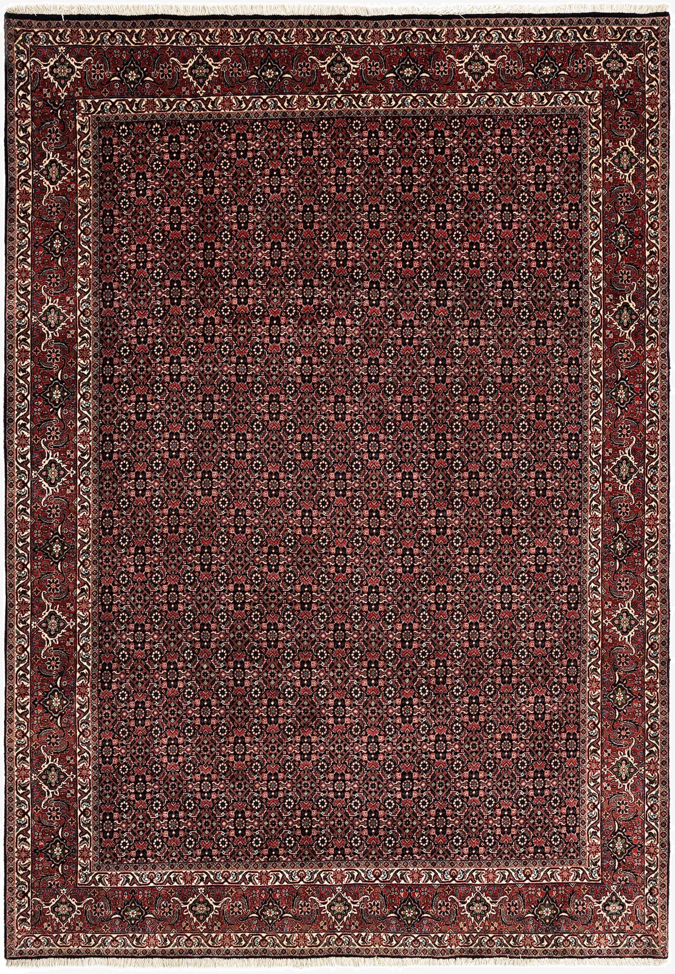 6' 11 x 9' 9 Bidjar Wool Rug